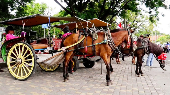 Tempat Sewa Kuda, Delman Murah di Jakarta  
