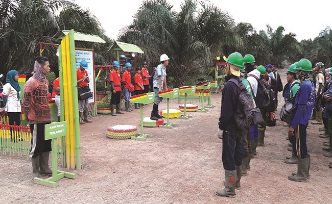Bayu - HRD, Rekrutmen Kerja Kebun Sawit  