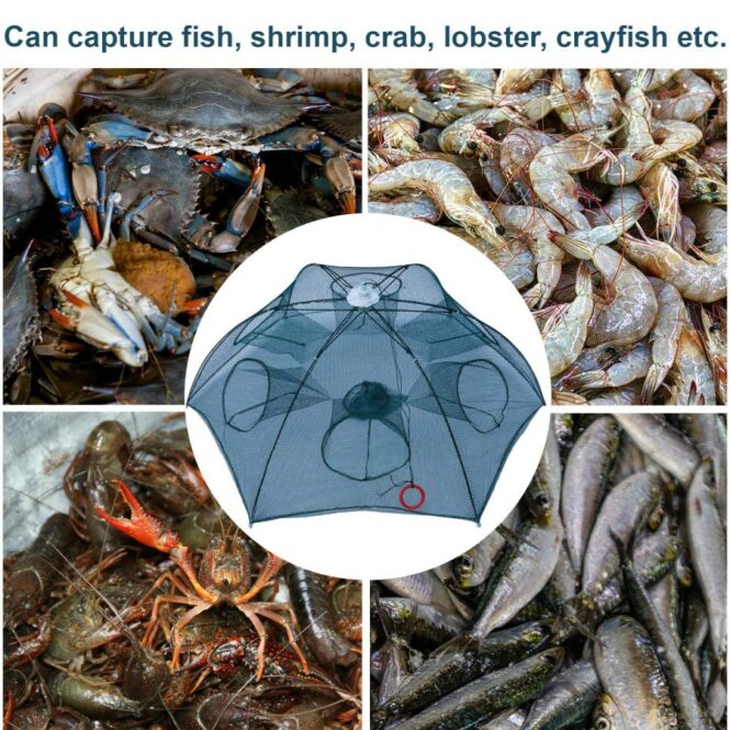 Cara Tangkap Iklan Udang Pakai Bubu Payung Hasil Banyak  