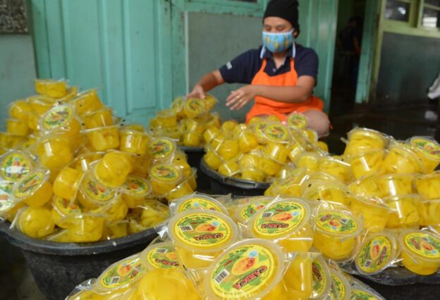 Jasa SEO UMKM di Wonosobo, Jawa Tengah