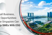 How SMEs in Singapore Can Use WordPress for Online Growth
