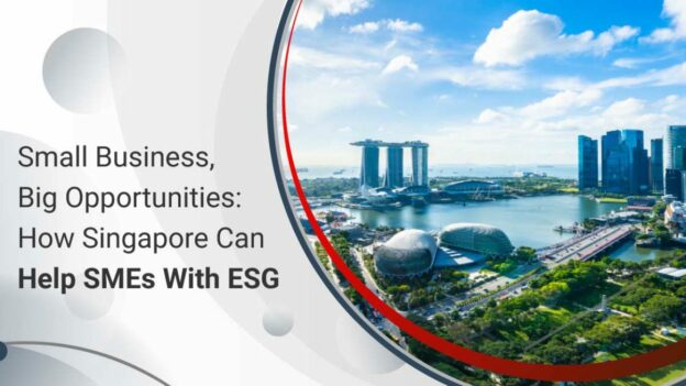 How SMEs in Singapore Can Use WordPress for Online Growth