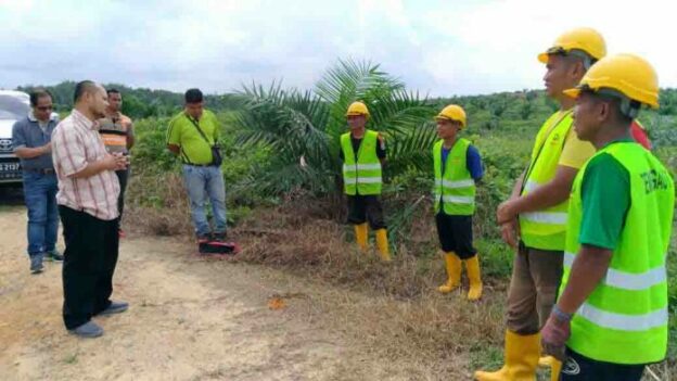 Lowongan Kerja di Perkebunan Luar Negeri (Malaysia & Brunei)