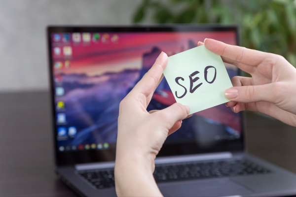 SEO Website Konten Tipis: Strategi Bertahan dan Menang Saat Artikel Masih Sedikit