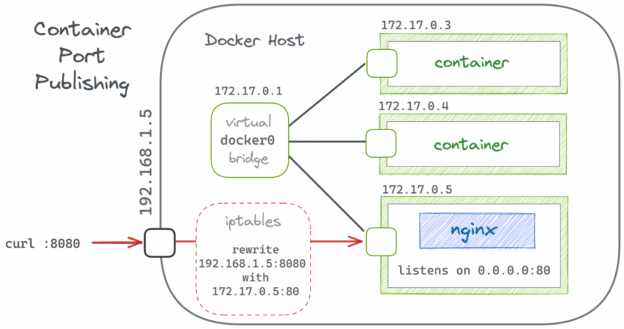 Nginx di Balik NAT / Docker (Real IP Problem)
