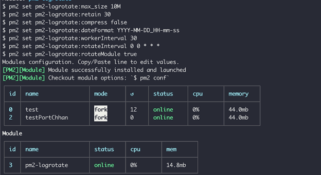 Mengelola Log Node.js + PM2-logrotate: Panduan Lengkap untuk Server Produksi