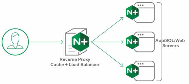 Reverse Proxy Nginx untuk Aplikasi Node.js & PHP: Panduan Lengkap Production