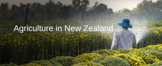 PT. BALI DUTA MANDIRI – Agriculture in New Zealand (Kiwi Fruit Picking)